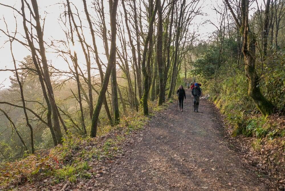 Consejos para preparar el Camino de Santiago