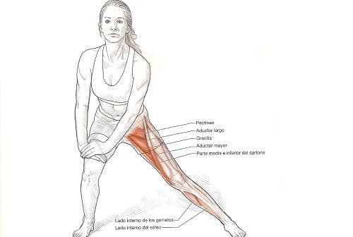 Cómo curar tendinitis aductores