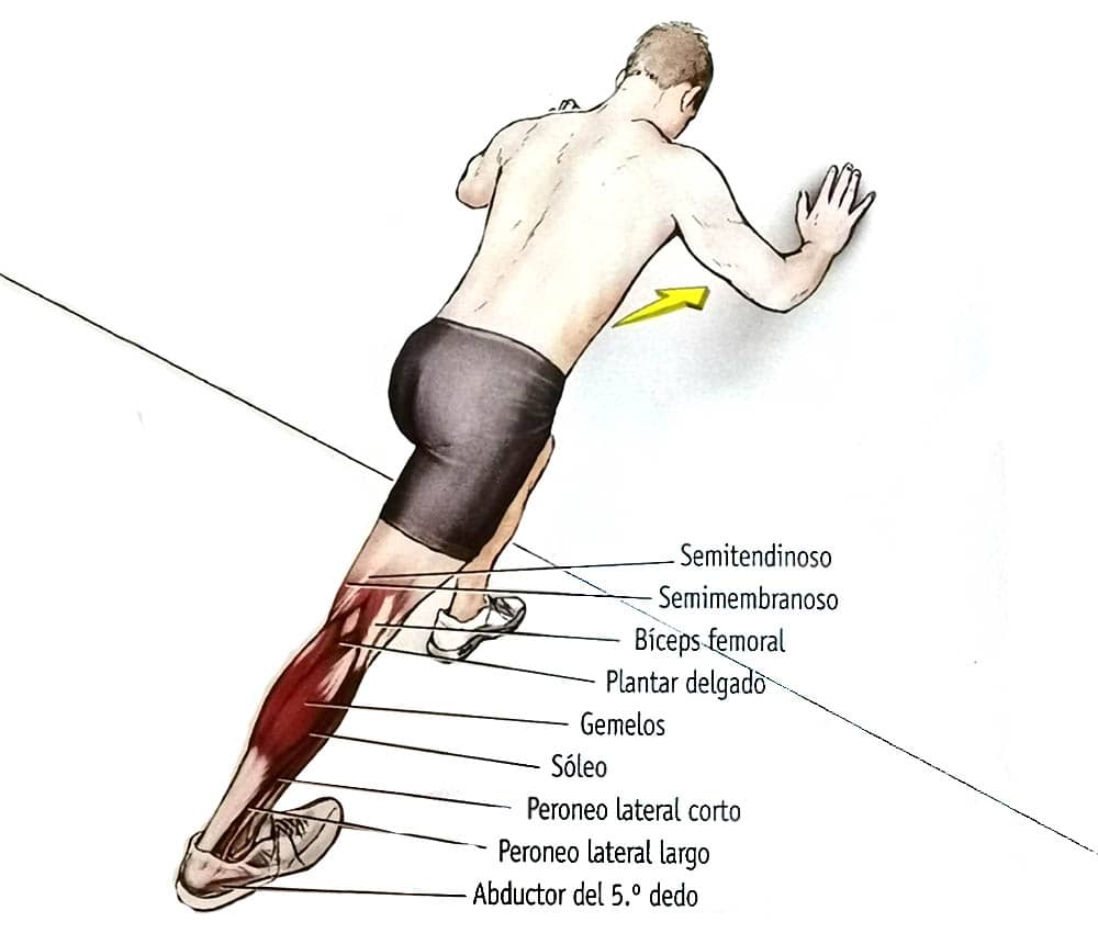Como curar una tendinitis tendón Aquiles