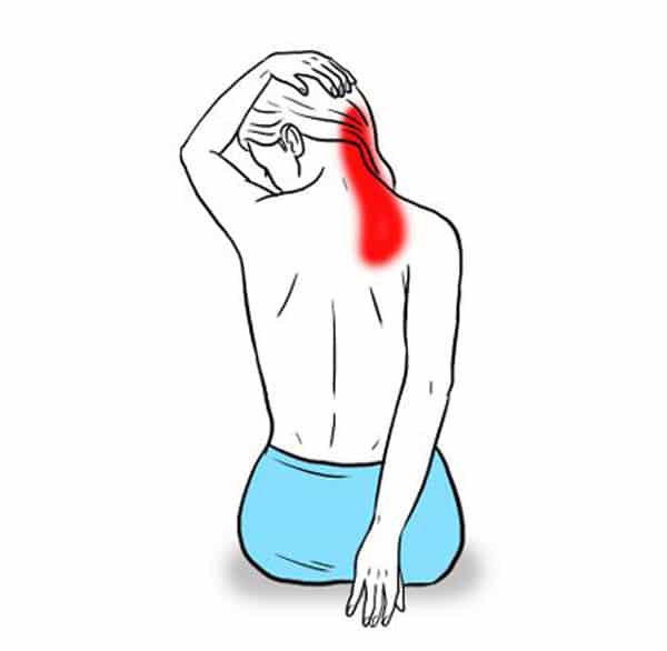 Cómo QUITAR el DOLOR de CUELLO Estiramiento angular omóplato