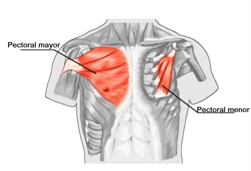 Contractura trapecio pectoral