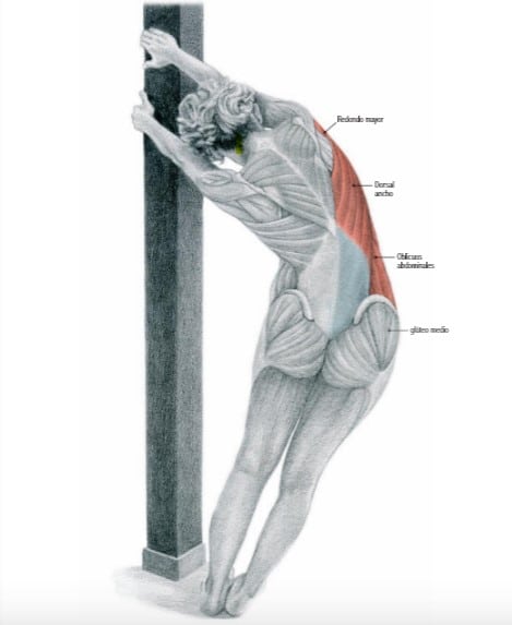 Estiramientos para la espalda y el dolor de espalda (7)