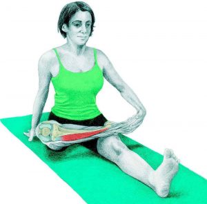 Estiramientos salir correr tibial anterior