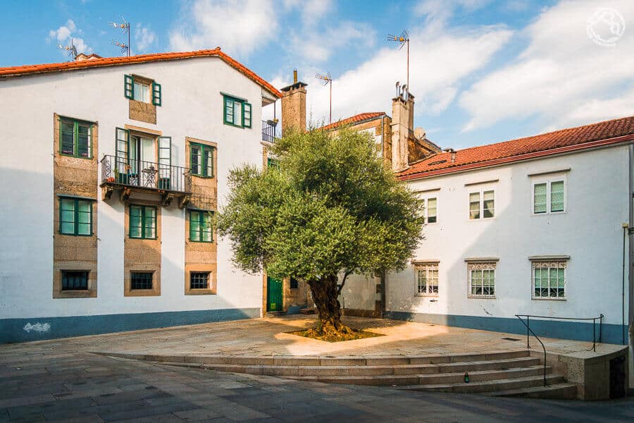 Mejores fotos de Santiago de Compostela Instagram (13)