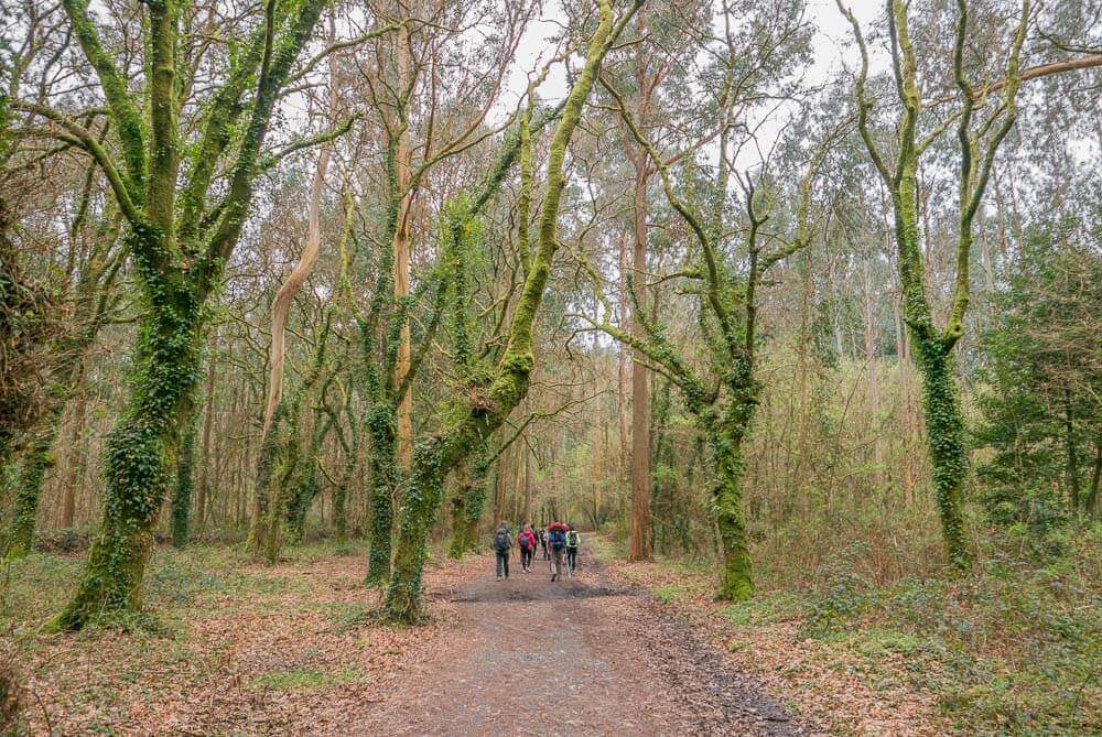 Cuándo hacer el Camino de Santiago mejor época para hacer el Camino de Santiago
